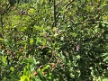 Kids_BlaseFarm_7-2020 (11)